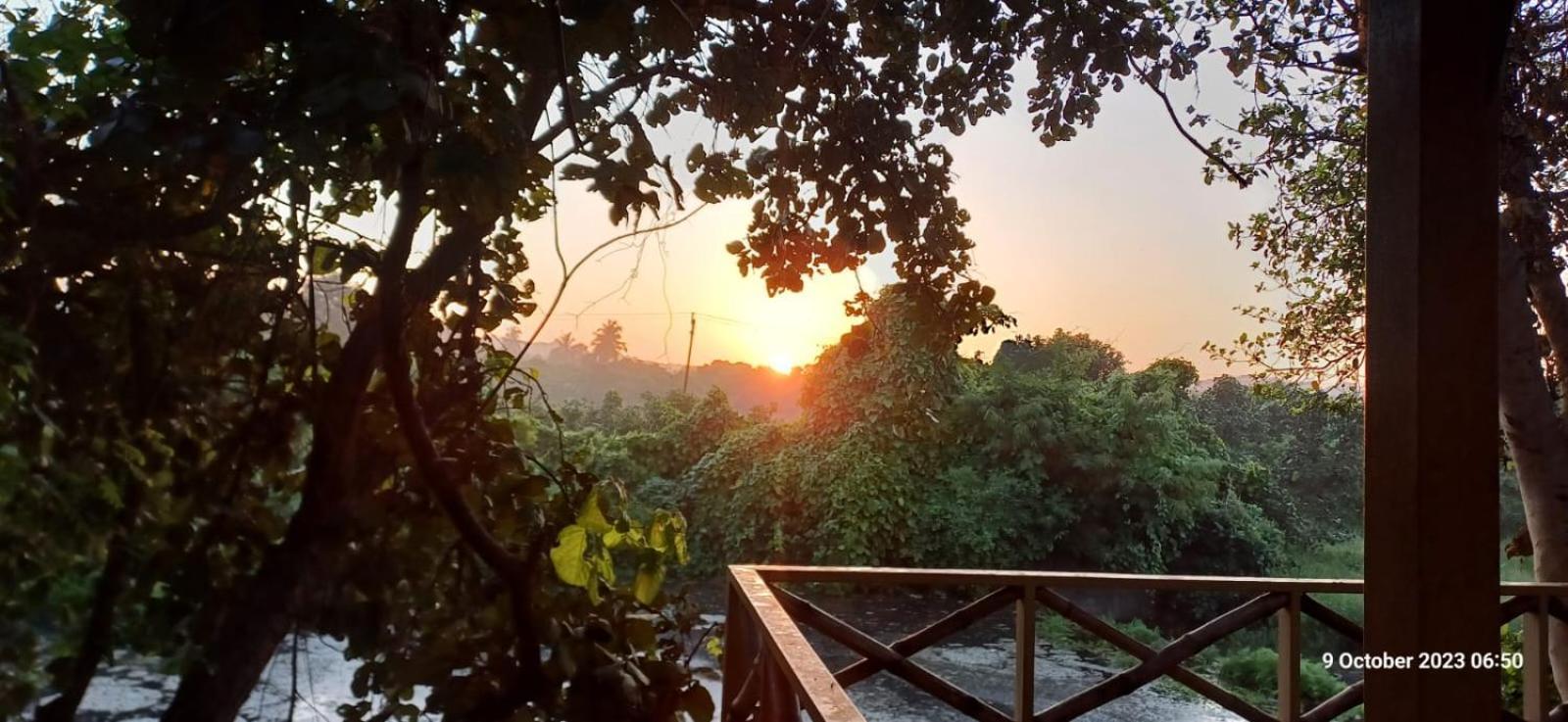 Asiatic Lion Lodge Sasan Gir Dış mekan fotoğraf
