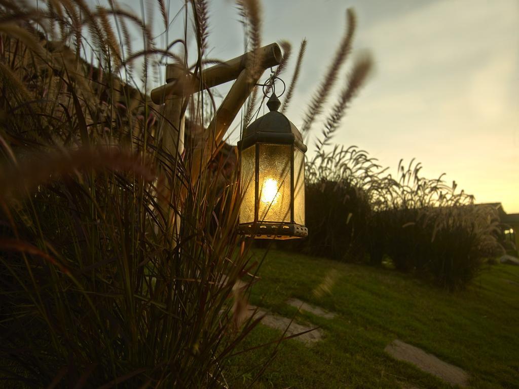 Asiatic Lion Lodge Sasan Gir Dış mekan fotoğraf